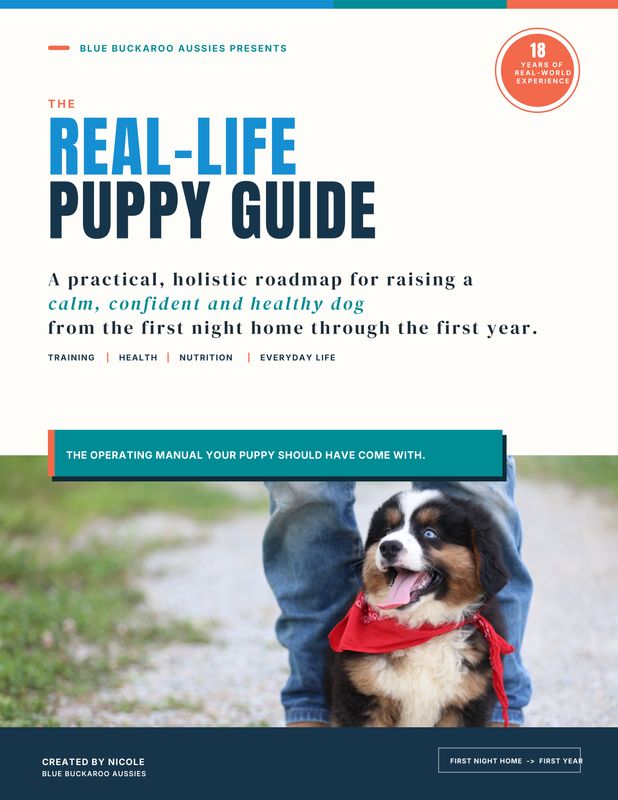 Ultimate Blue Buckaroo Puppy Guide