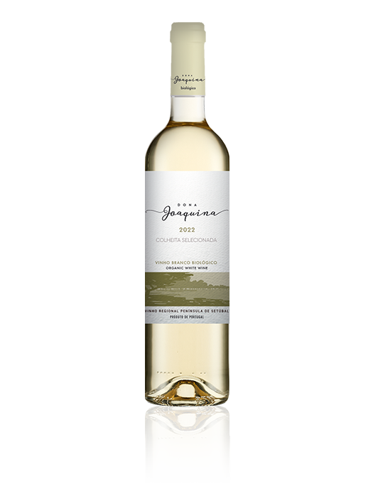 Vinho Dona Joaquina 2022 - Branco