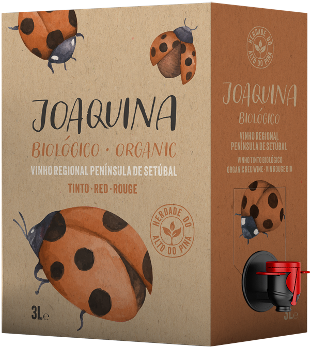 Box 3L Joaquina Tinto
