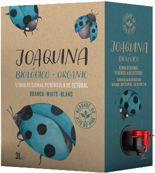 Box 3L - Joaquina Branco Box 3L - Joaquina Branco