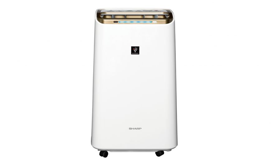 SHARP 夏普12公升 自動除菌離子2合1空氣清淨除濕機 DW-LT12FT-W