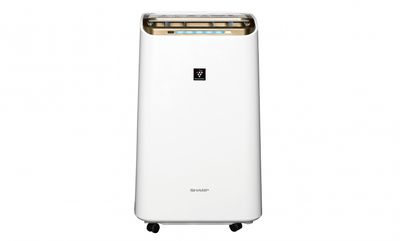 SHARP 夏普12公升 自動除菌離子2合1空氣清淨除濕機 DW-LT12FT-W SHARP 夏普12公升 自動除菌離子2合1空氣清淨除濕機 DW-LT12FT-W