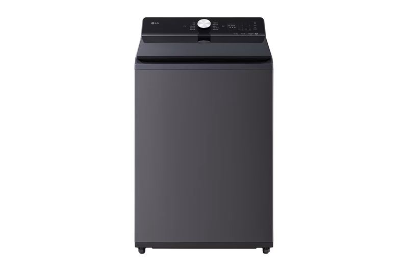 LG 樂金 18公斤 EZ 系列 AI DD™蒸氣直驅變頻直立式洗衣機 (WT-TD18HG)