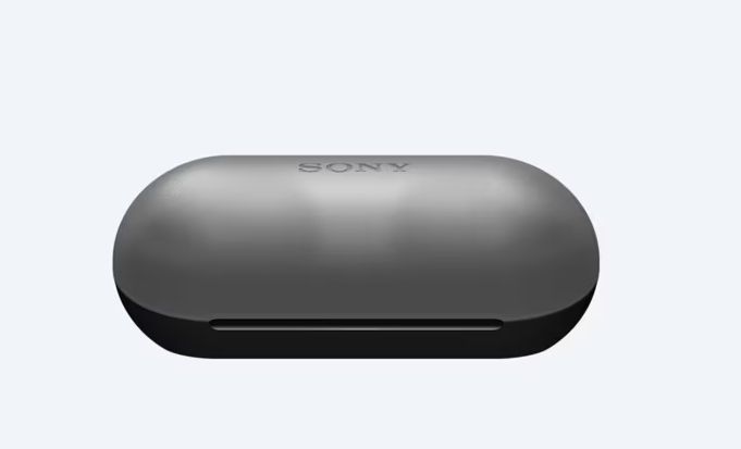 Sony WF-C500 (Black) True Wireless Earbuds