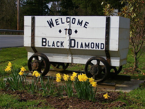 Non-Profit Inside Black Diamond