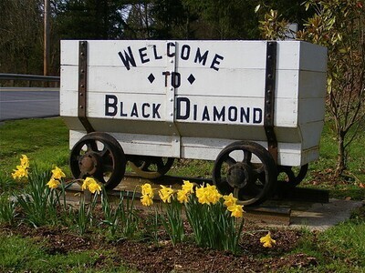 Non-Profit Inside Black Diamond