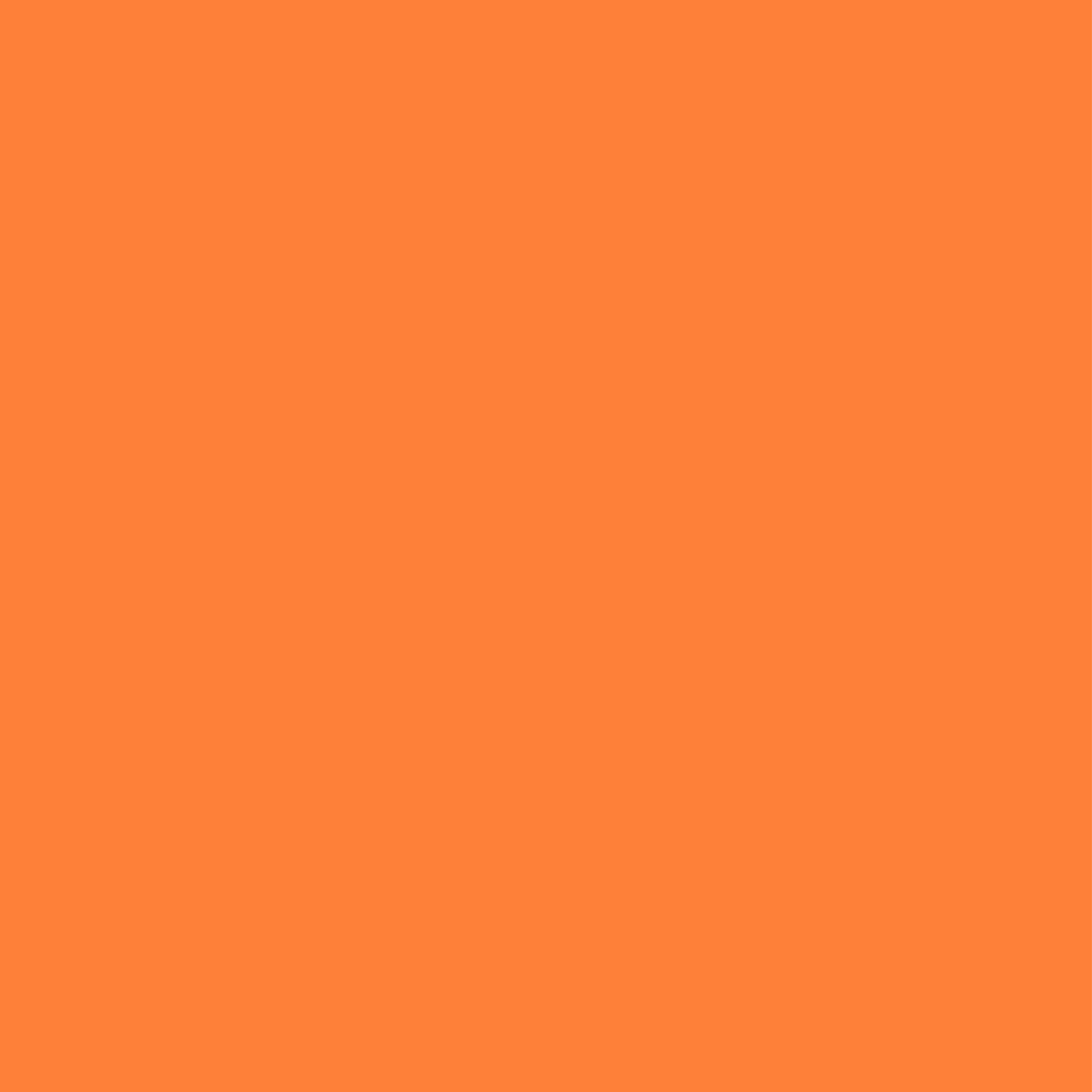 Hugger Orange
