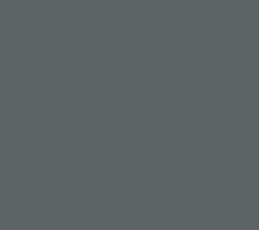 Dark Grey  Primer 100ml