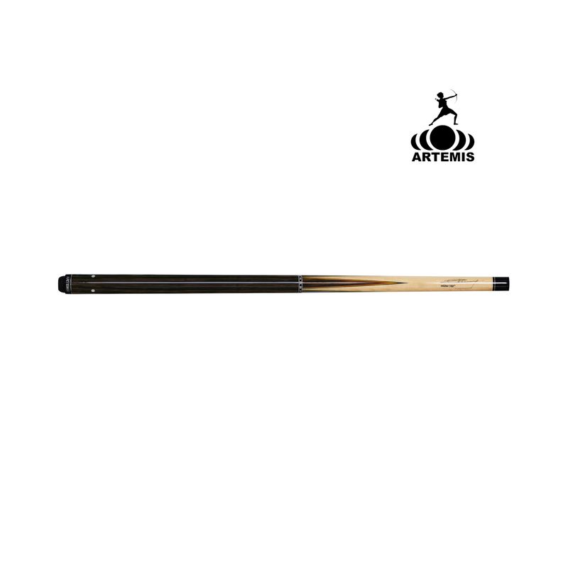 Artemis Keu Mister 100 4 Punts Nr.2