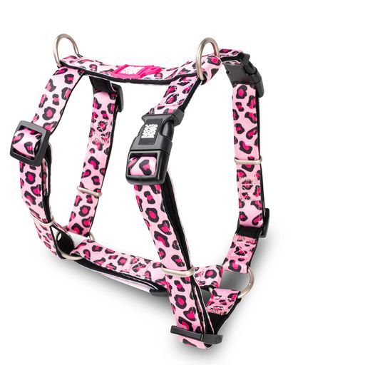 Max &amp; Molly Leopard Pink Hundesele