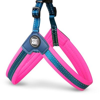 Max &amp; Molly  Matrix Q-Fit Hundesele