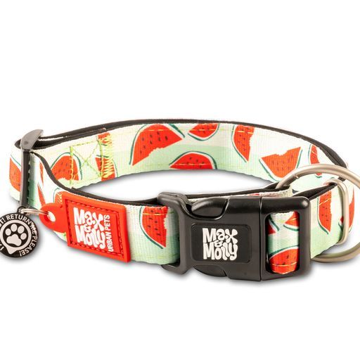 Max &amp; Molly Watermelon Smart ID Collar