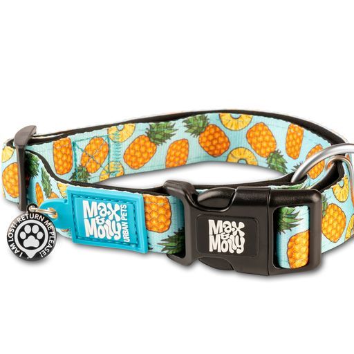 Max &amp; Molly Sweet Pineapple Smart ID Collar