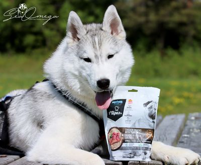 Hund godbiter/snacks