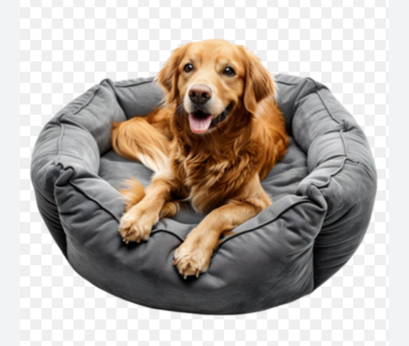 Pet Beds