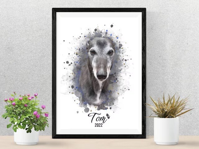 Watercolour Pet Portrait