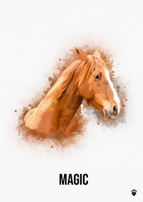 Watercolour Pet Portrait