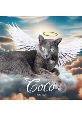 Memorial Pet Portrait
