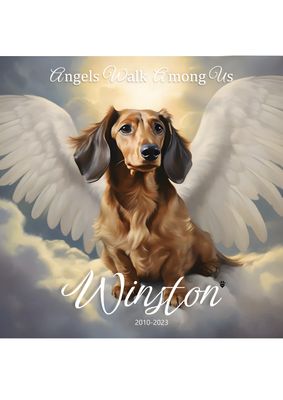Memorial Pet Portrait