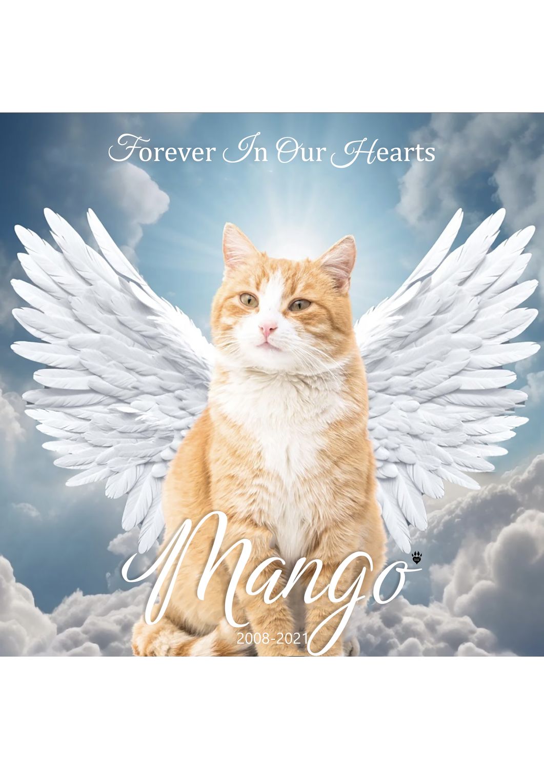 Memorial Pet Portrait