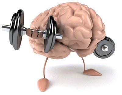 Brain / Memory Support