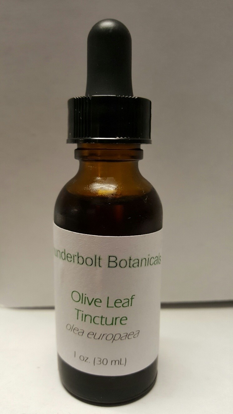 Olive Leaf Tincture 30ml