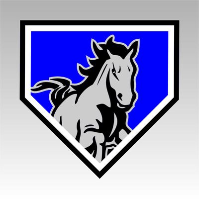 Mustang Youth Baseball