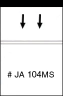 Top Loading Magnetic Strip