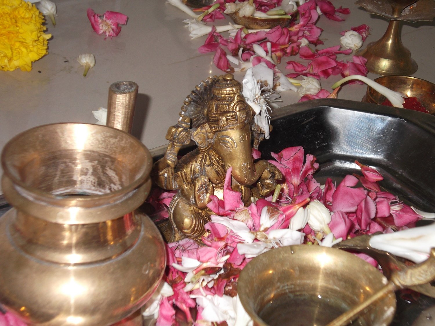 Group Puja or Homa in absenthia