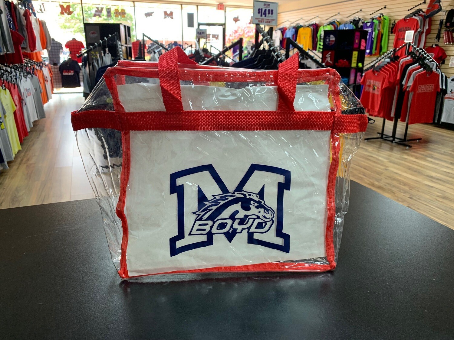 Clear Stadium Bag