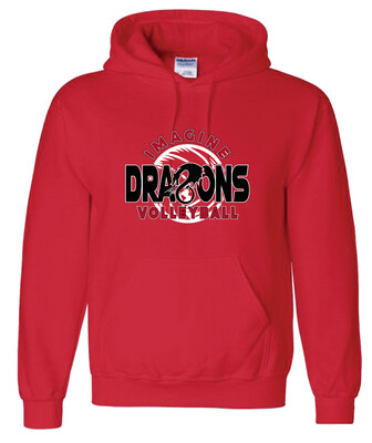 2021-22 VB Fan Wear - Hoodie