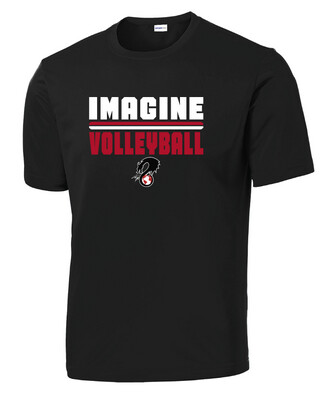 2021-22 VB Practice Design - Dri-Fit Short Sleeve
