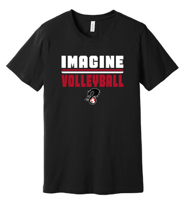2021-22 VB Practice Design - Bella+Canvas Short Sleeve