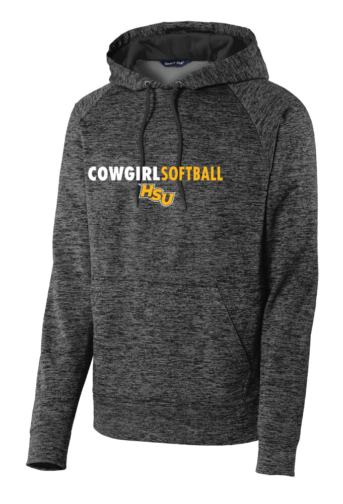 HSU Softball - Clean Lines - Electric Dri-Fit Hoodie, Color: Black / Grey