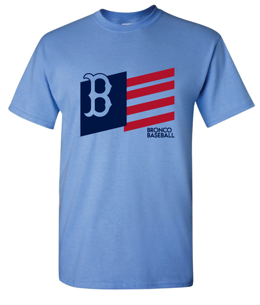 Boyd Baseball - Flag - Short Sleeve, Color: Columbia Blue