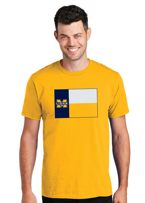 Texas Flag