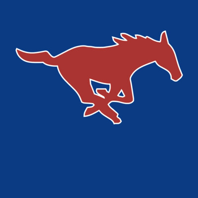 Ford MS Mustangs