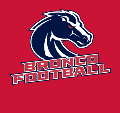Big Logo