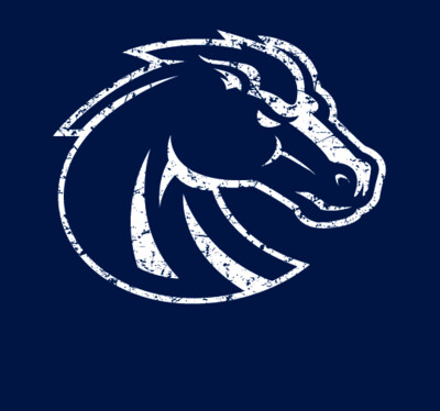 Distressed Bronco