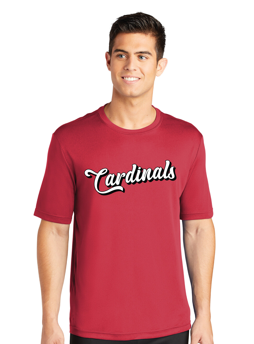 Cursive Cardinals