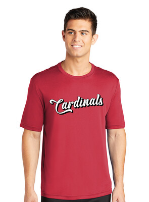 Cursive Cardinals