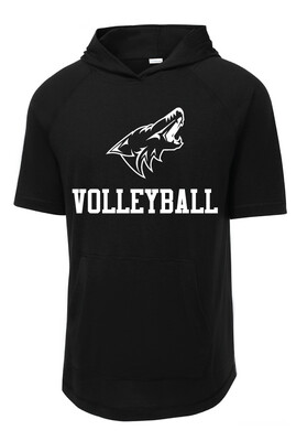 Anna Volleyball - 1 Color - Short Sleeve Hoodie