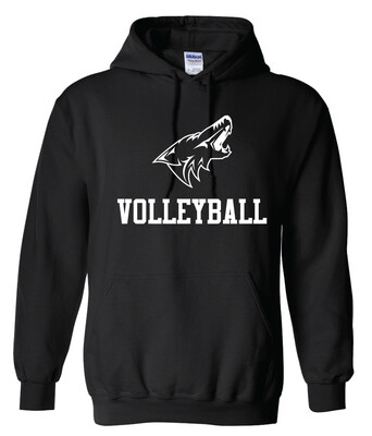 Anna Volleyball - 1 Color - Hoodie