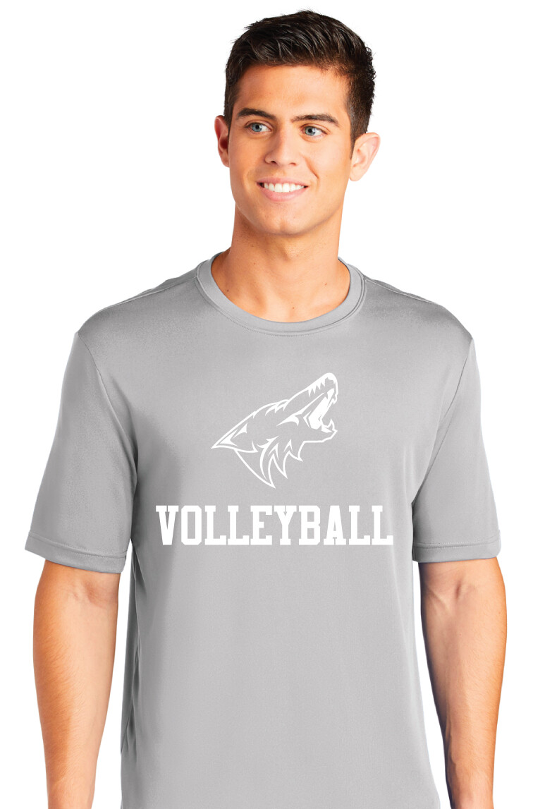 Anna Volleyball - 1 Color - Dri-Fit Short Sleeve