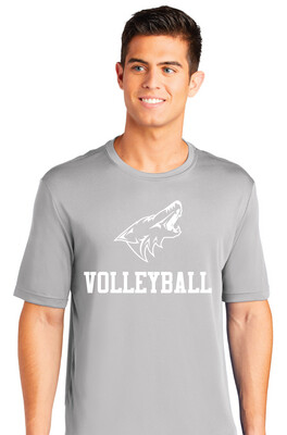Anna Volleyball - 1 Color - Dri-Fit Short Sleeve