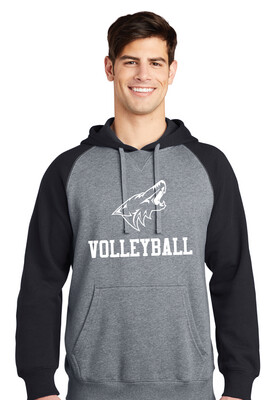Anna Volleyball - 1 Color - Raglan Hoodie
