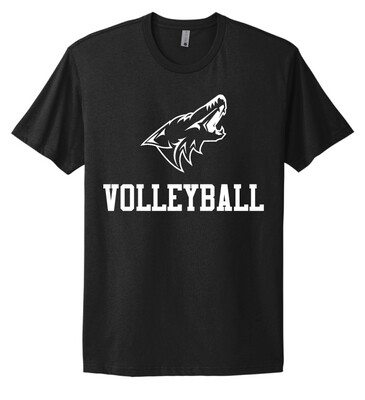 Anna Volleyball - 1 Color - Next Level Short Sleeve
