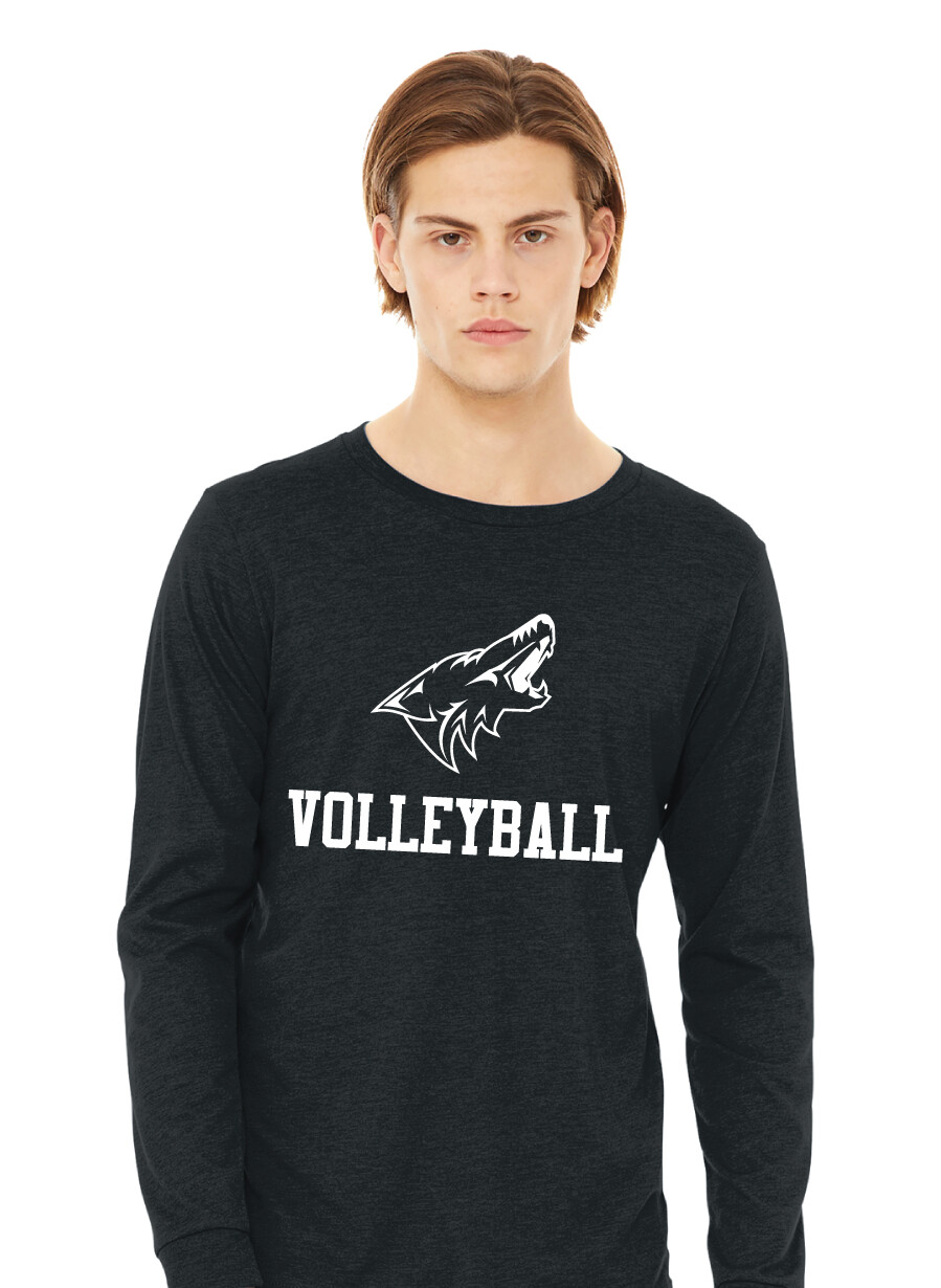 Anna Volleyball - 1 Color - Bella+Canvas Long Sleeve