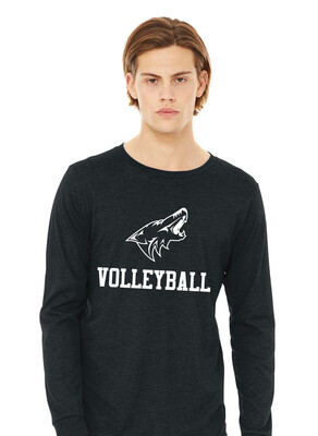 Anna Volleyball - 1 Color - Bella+Canvas Long Sleeve