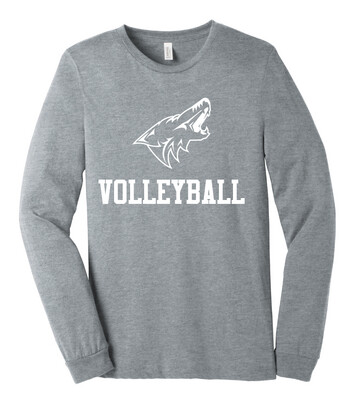 Anna Volleyball - 1 Color - Bella+Canvas Long Sleeve
